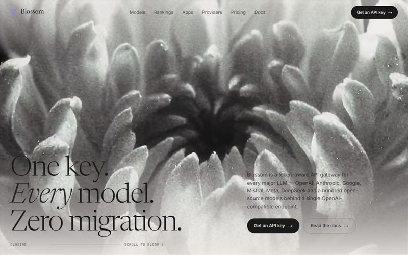 Blossom preview